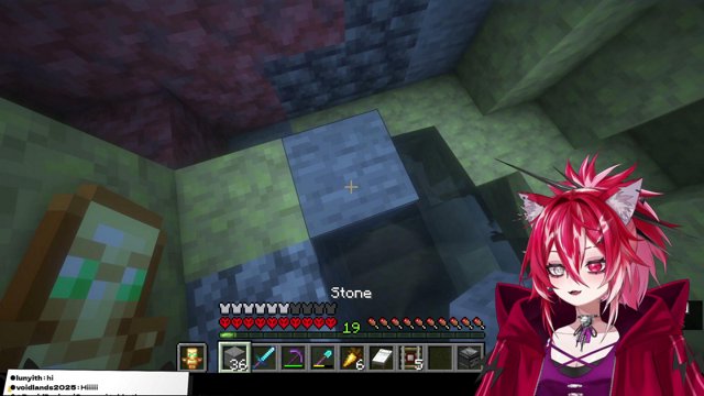 HARDCORE SHULKERS