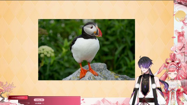 [EN/日本語/中文] BIRDS RIZZING BIRDS. 鳥Vtuber二人で鳥を恋に落とします !discord【ASTRALINE】
