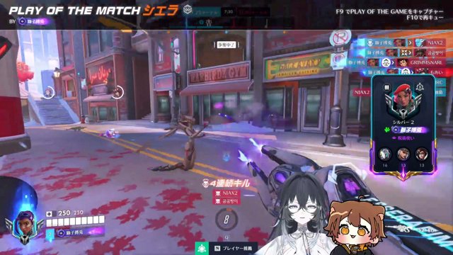 【Overwatch】DPS認定つける