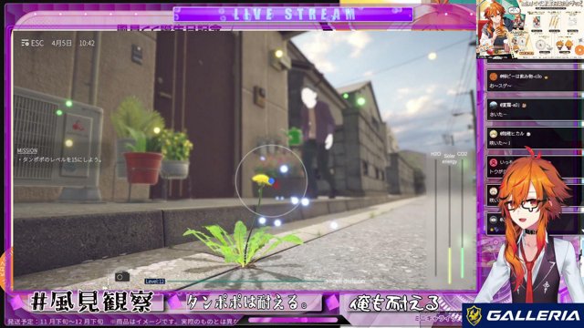 タンポポは耐える。