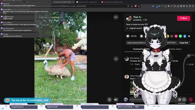 DOOM SCROLLING, GAMES & YAPS | Discord Redeem!