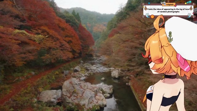 It's Fall!!! Let's Go on A Short Hike