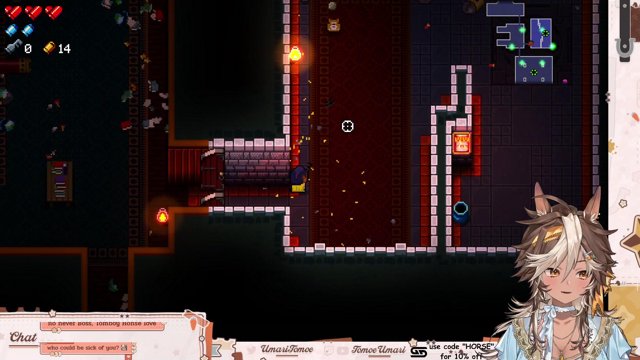 [ENTER THE GUNGEON] how did a horse get in here again