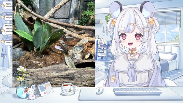 dormies, i'm home!!【Just Chatting + Vacation Recap】🐁